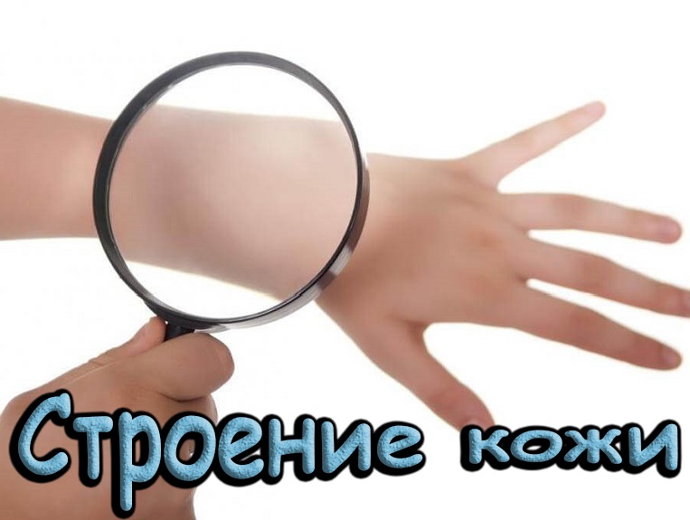 Описание: 4.jpg